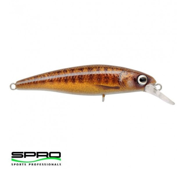 SPRO IKIRU SILENT JERK VARION 9.5CM 1/1 Maket yem